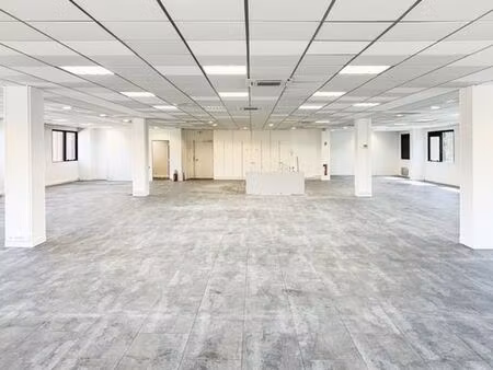 prestigieux bureau en location saint-thibault-des-vignes  île-de-france