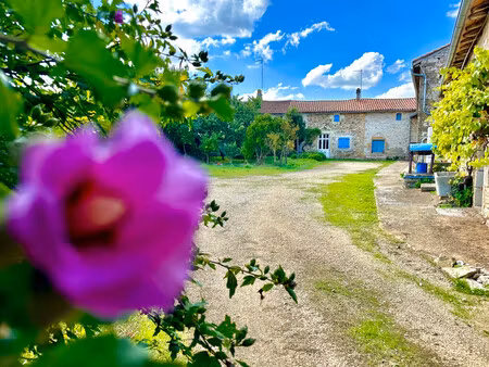 maison à vendre à saint-jean-de-sauves (86330) - vienne