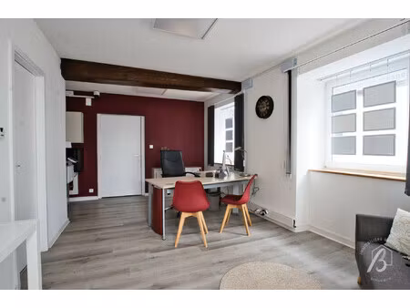immobilier professionnel à louer obernai