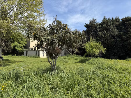 terrain viabilisé 496 m2 caderousse rare sur le secteur !