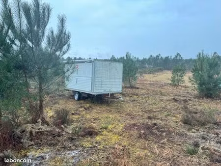 parcelle boisée dans le hameau de herran ( parentis)