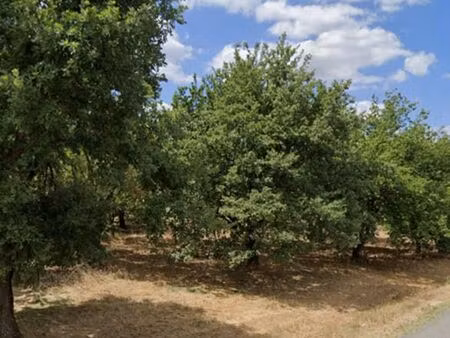 terrain 406 m² marges