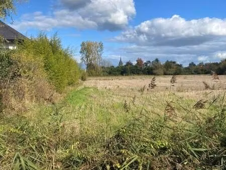 terrain 1997 m² locon