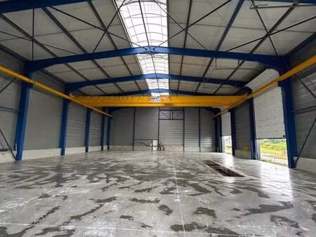 local d'activité 980 m²