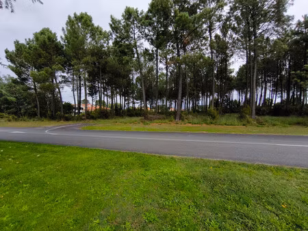 terrain à vendre à biscarrosse (40600) - landes