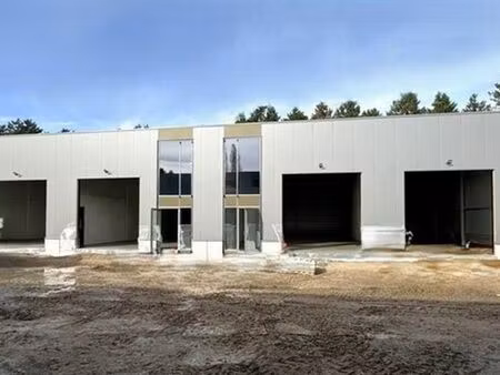 bien professionnel à louer à duffel € 1.650 (kxecs) - oreon properties herentals | zimmo