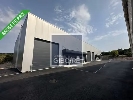 entrepot - local d'activite a vendre