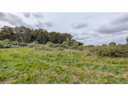 terrain 7000 m² divisible - grenade sur l'adour