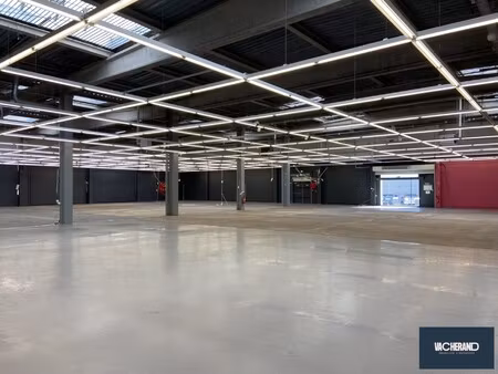 location local commercial