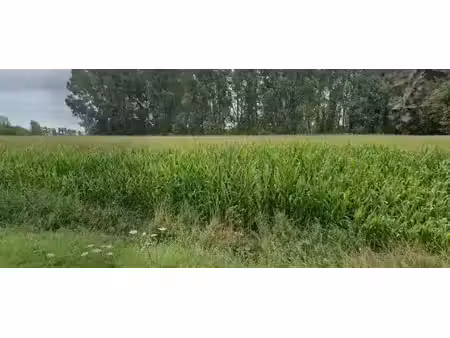 terrain à bâtir