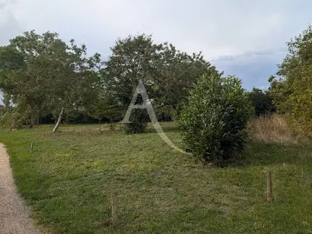 vente terrain 1454 m² à la chapelle-saint-martin-en-plaine (41500)  41 000 €