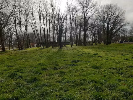 vente terrain 750 m² à saint-sauveur (33250)  55 000 €