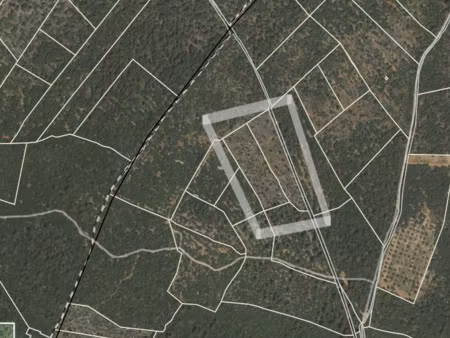 a vendre : terrain en nature de bois à moissac bellevue  ha