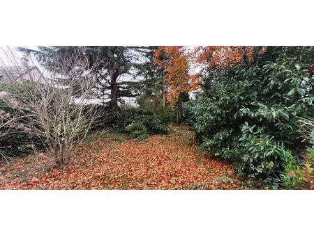 terrain à bâtir de 1103 m2 à jargeau 45150