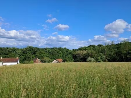 salles-mongiscard vente terrains à bâtir