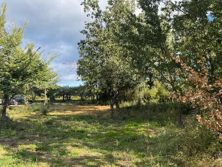 grand terrain a vendre a martignargues