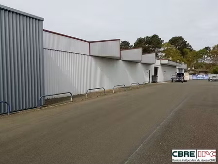 location commerce mont de marsan 250 m²