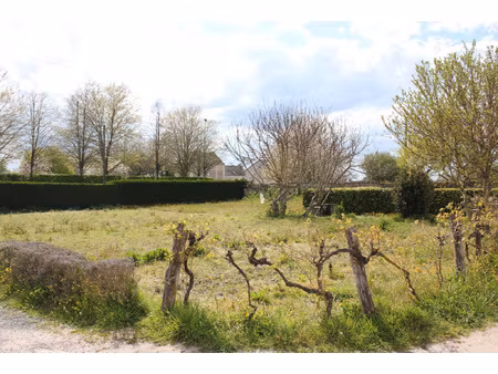 terrain constructible - allonnes