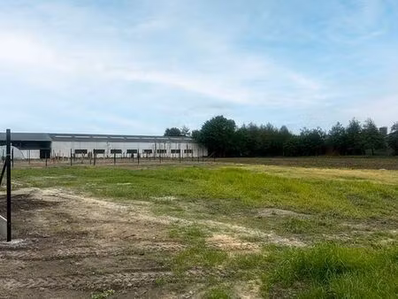 terrain à vendre à wingene € 218.000 (kxj1u) - hectaar | zimmo