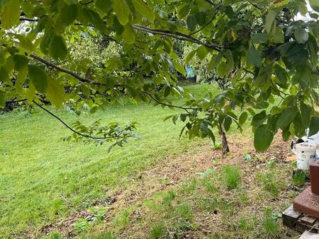 location maison 10 pièces 450 m² à saint-julien-en-genevois (74160)