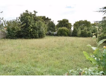 vente terrain 971m2 la brée-les-bains 17840 - 299000 € - surface privée