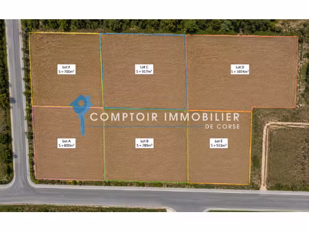 terrain constructible à ghisonaccia
