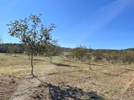 vente terrain 3593 m² à saint-cybranet (24250)  50 000 €