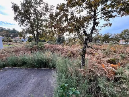 vente terrain 376 m² à parentis-en-born (40160)  127 650 €