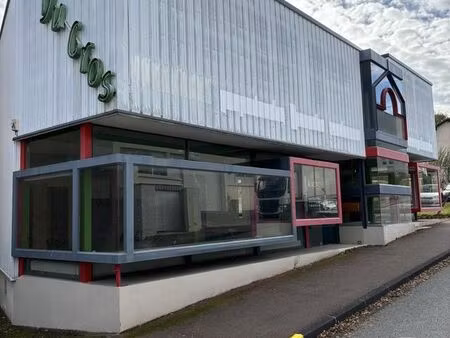 divers à vendre - 350 m2 - st eloy les mines - 63 - auvergne