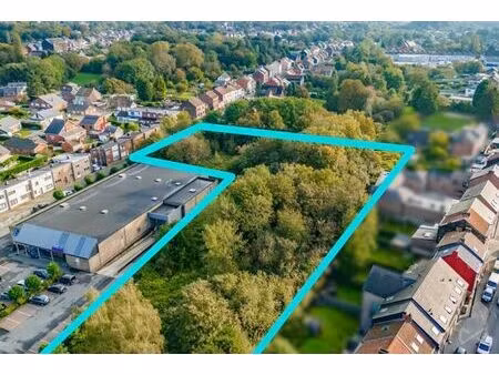 6043 ransart - rue de la flanière