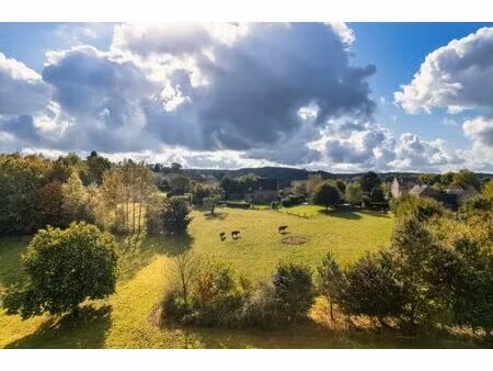 parcelle de terrain +/- 3.842 m² - belle situation