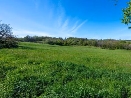 secteur domme  grand terrain de 2ha ( constructible sur 7600m²)