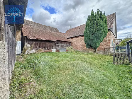 maison rhinau 6 pièce(s) 113 m2 + dépendances de 385m² au sol.