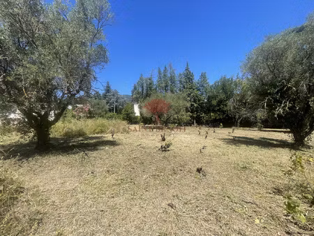 a vendre terrain constructible divisible dans lodeve