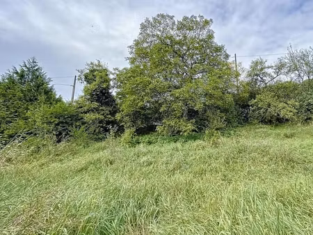 vente terrain 470 m² à chavigny (54230)  45 000 €