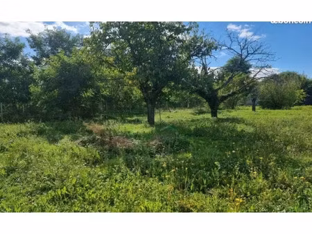 vente terrain à montigny-sur-loing (77690)  88 000 €