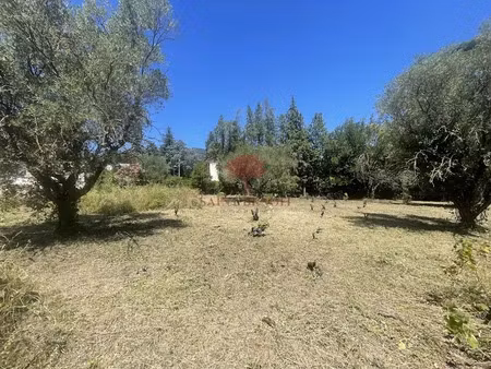 vente terrain 1521 m² à lodeve (34700)  241 000 €