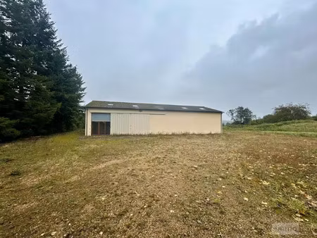 vente locaux professionnels 325 m² à cherreau (72400)  169 000 €