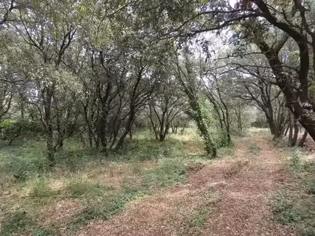 vente terrain 2630 m² à uzès (30700)  259 500 €