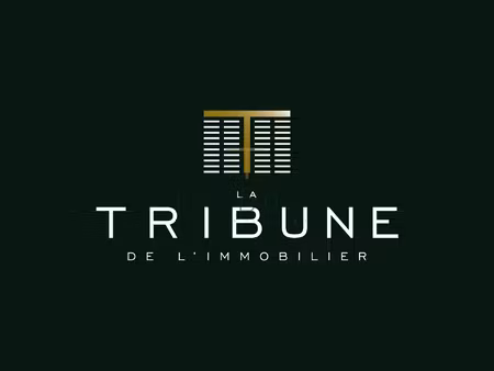 ensemble immobilier commercial loué  idéal investisseur