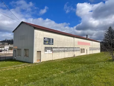 vente immeuble 0 pièces 850 m² à montbard (21500)  230 000 €