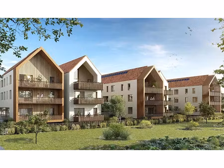 vente programme neuf t2  t3  t4 46 à 120 m² la wantzenau (67610)
