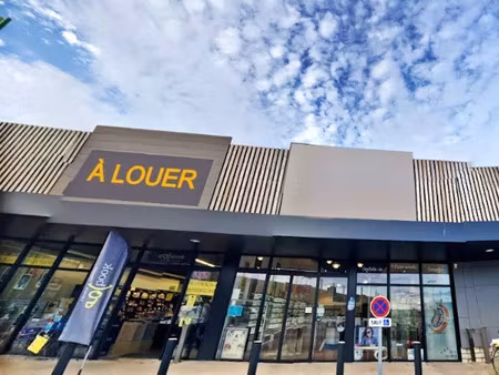 location commerce 3 pièces 239 m² à chasseneuil-du-poitou (86360)