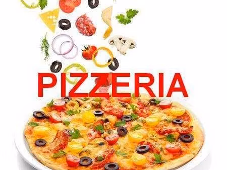 pizzeria  restaurant 100 m² châtellerault