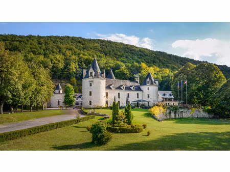vente château montignac 50 pièces 3370 m² <meta name="description" content="ce château  do