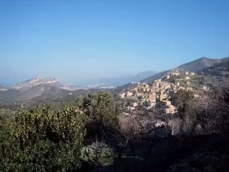 vente maison 5 pièces 90 m² à oletta (20232)  200 000 €