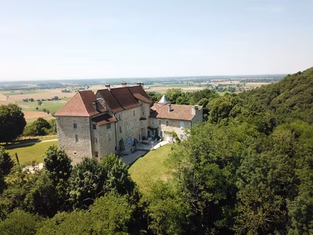 vente maison 20 pièces 650 m² bourg-en-bresse (01000)