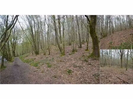 terrain à vendre de 41600 m² à oignies-en-thiérache (vbb06780)