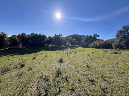 vente terrain 1100 m² à afa (20167)  240 000 €