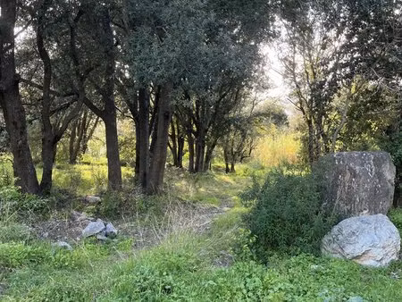 a 10 mn de saint-florent